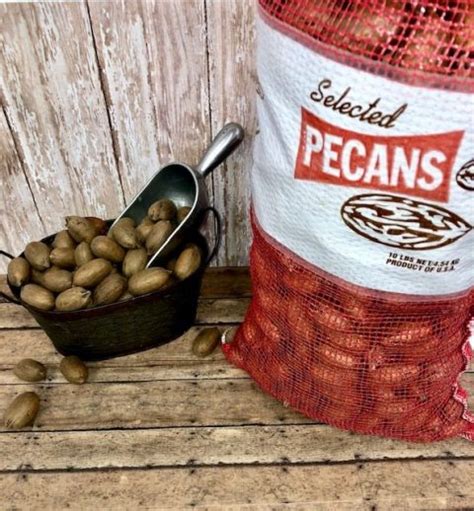 pecan bags for sale